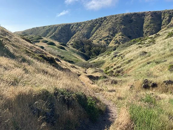 Santa Cruz Island Valley