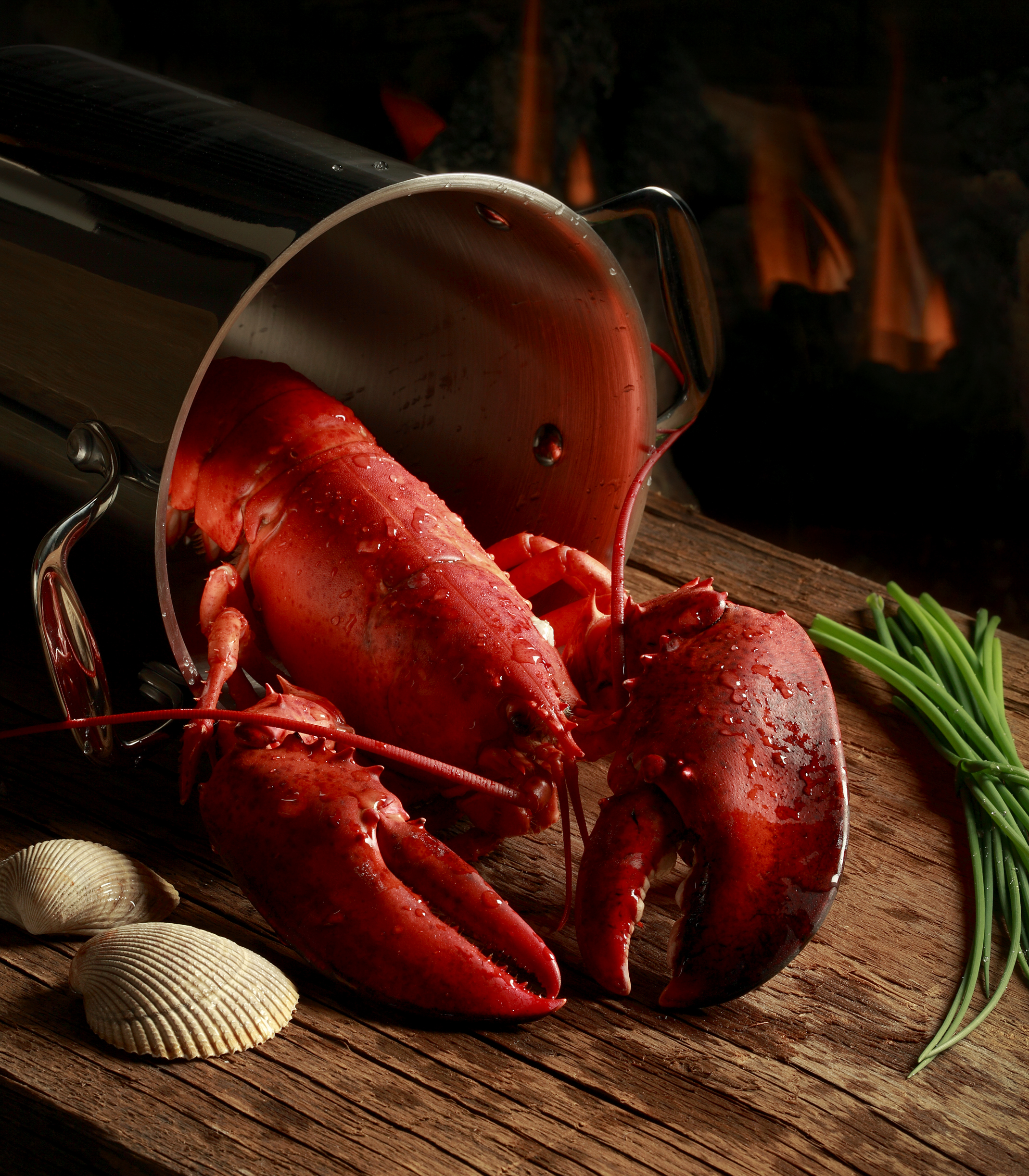 Lobster 4 -Crop.jpg
