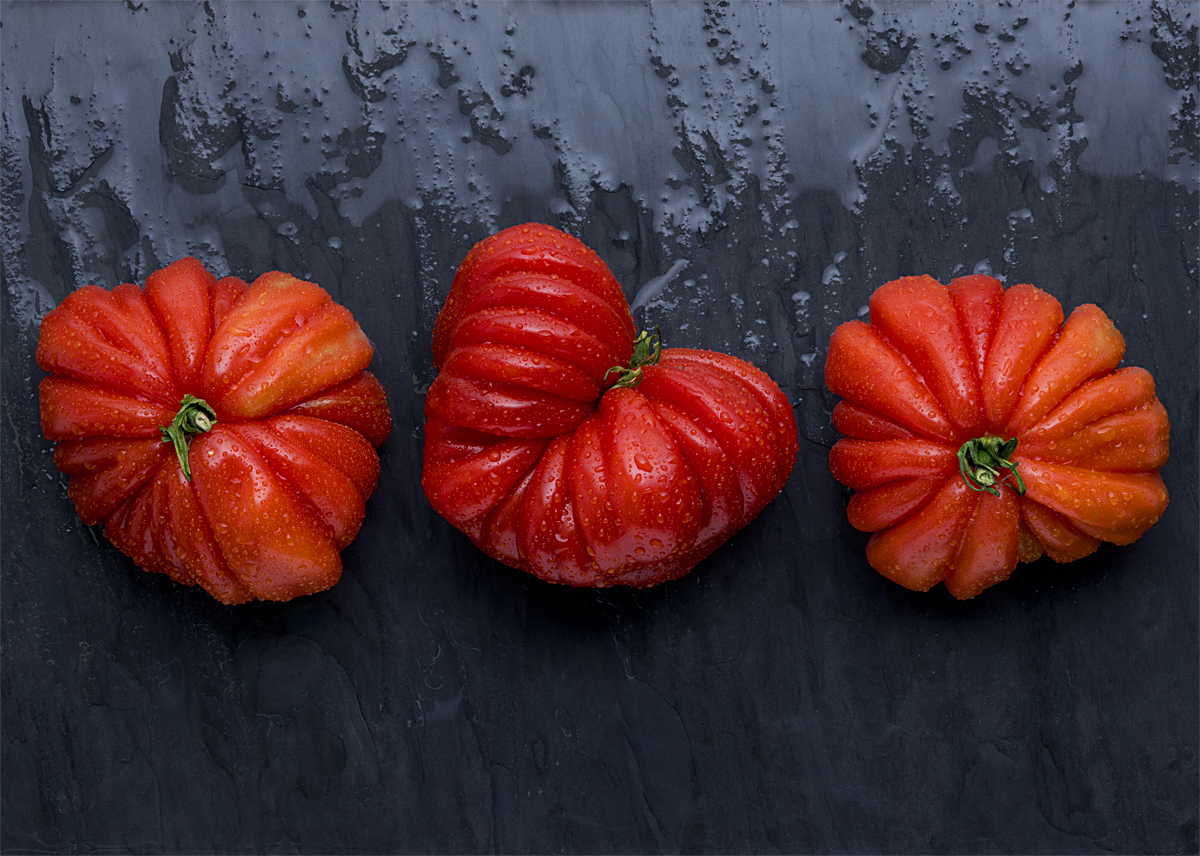 Tomatoes -2.jpg