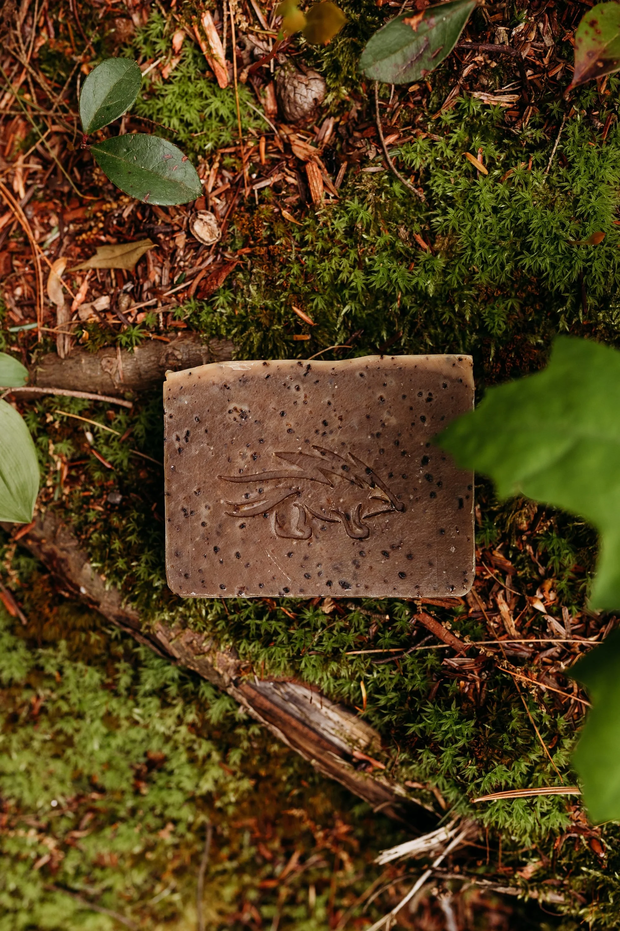 Coffee Tallow Soap in the forrest