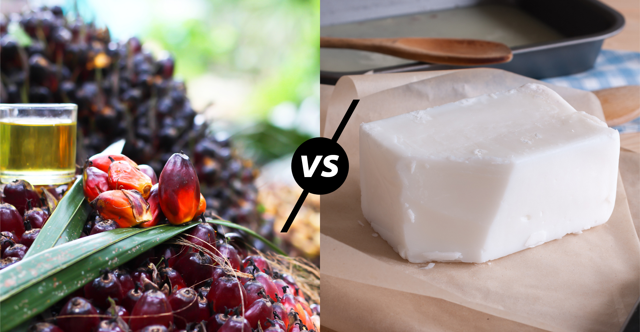 Palm Oil Soap vs. Pasture-Based Tallow Soap