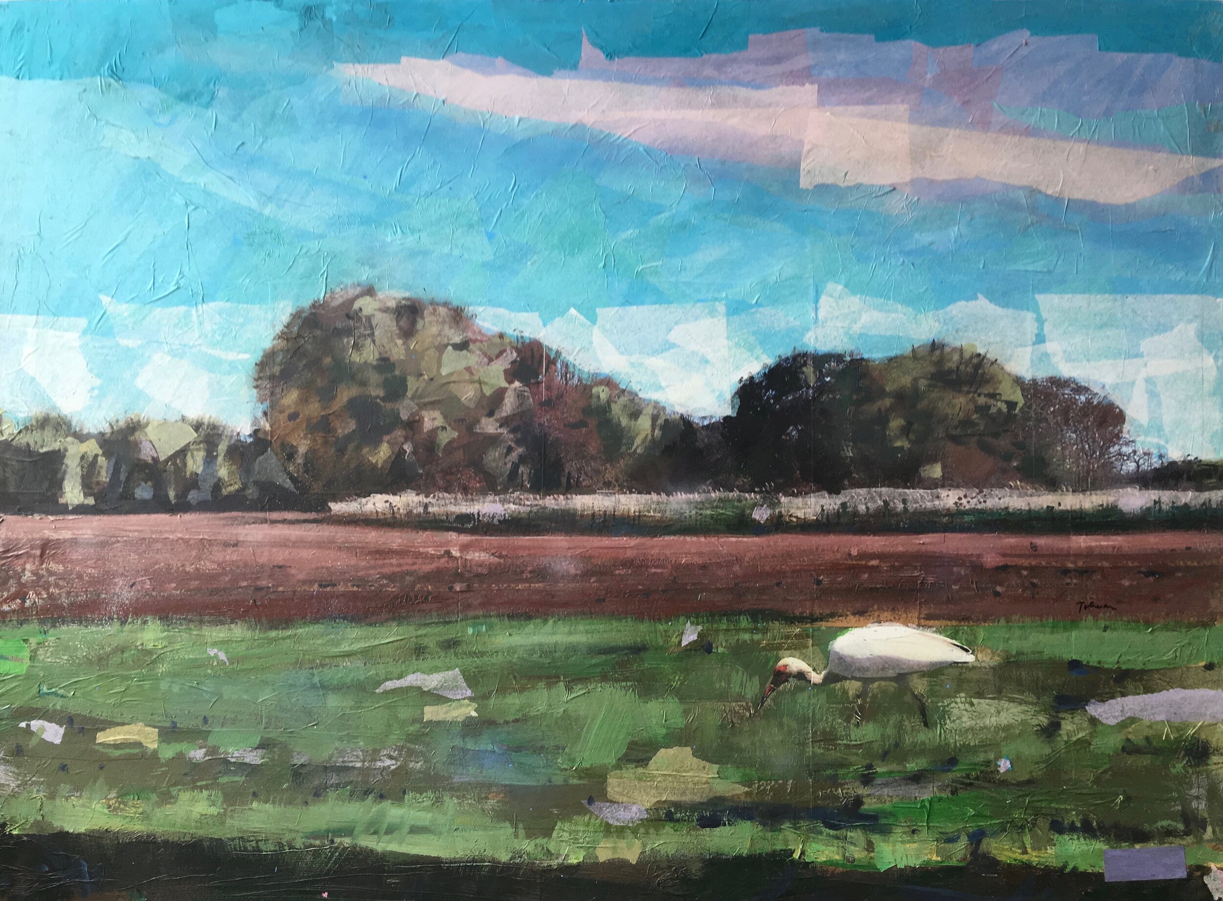 Tim Tolman: transforming natural imagery in mixed media collage, oil ...