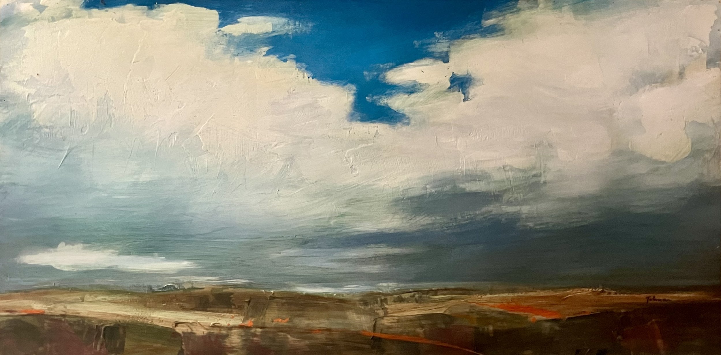 Montana big sky | 48"x24" mixed media on panel