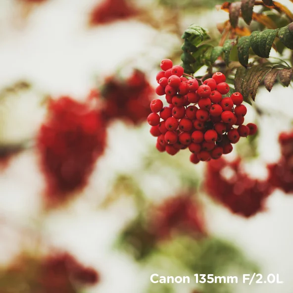 bokeh_135mm_2