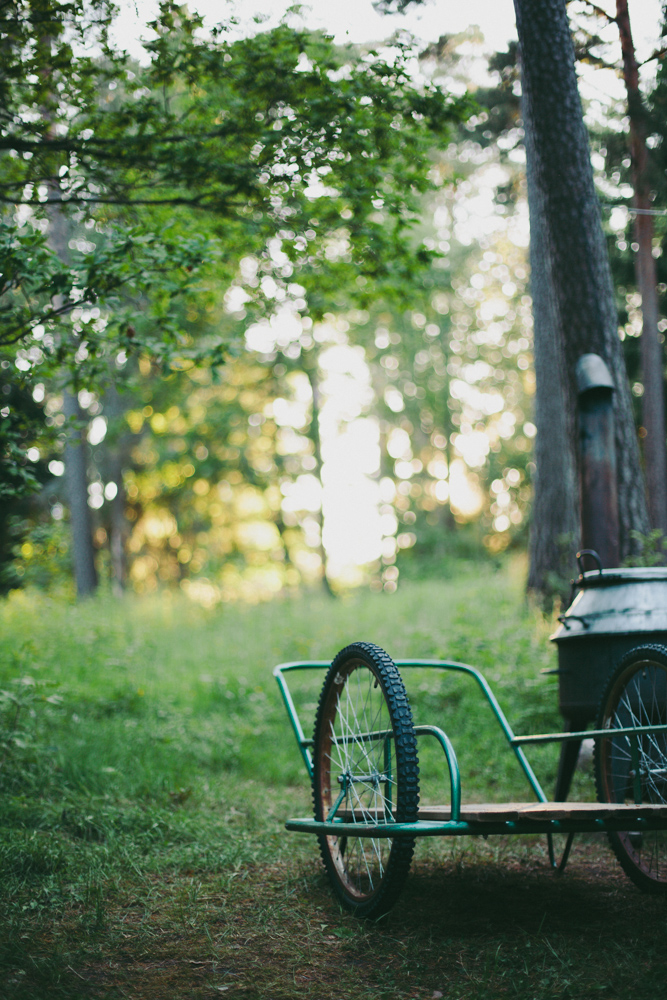 canon_ef_50mm_f_1_4_bokeh-test.jpg