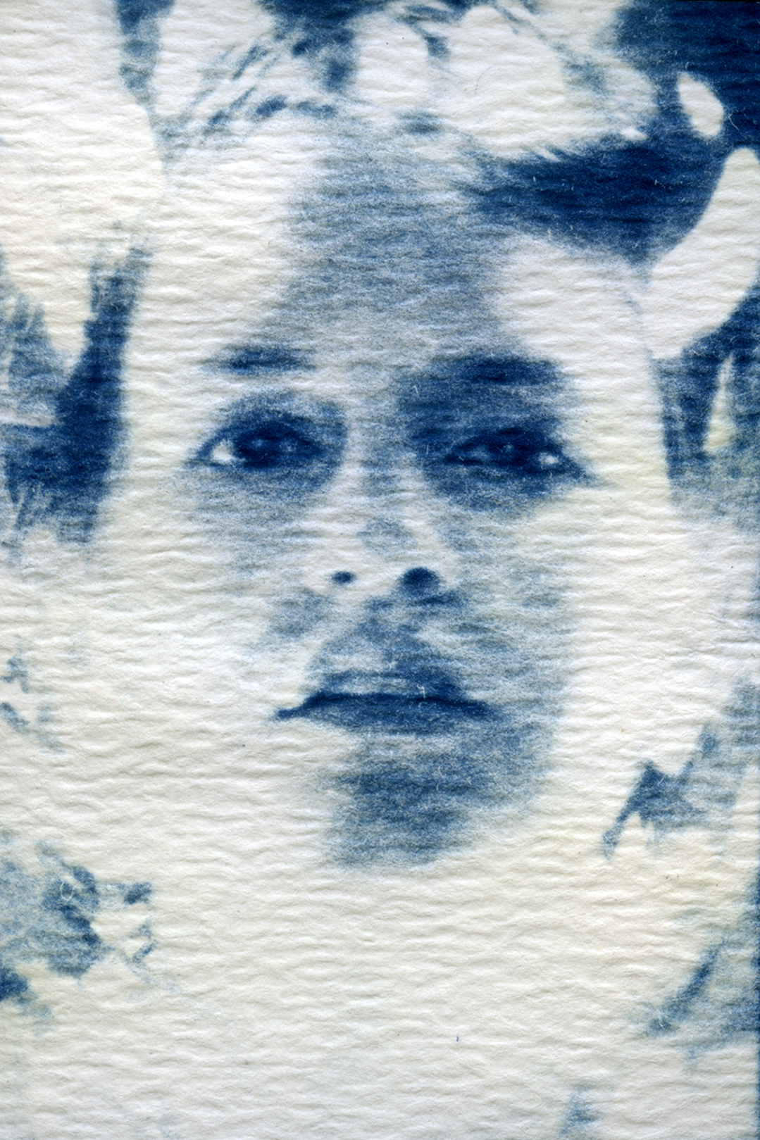 ehollman_Cyanotype-print_firefly-02_07.jpg