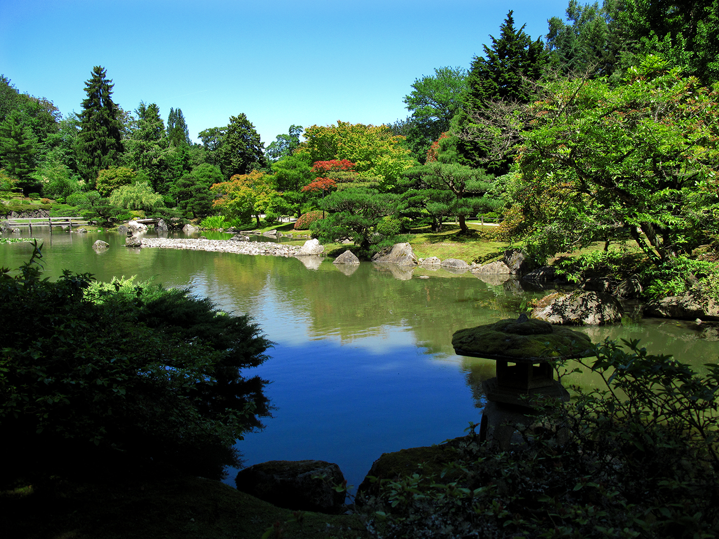 Seattle Japanese Garden