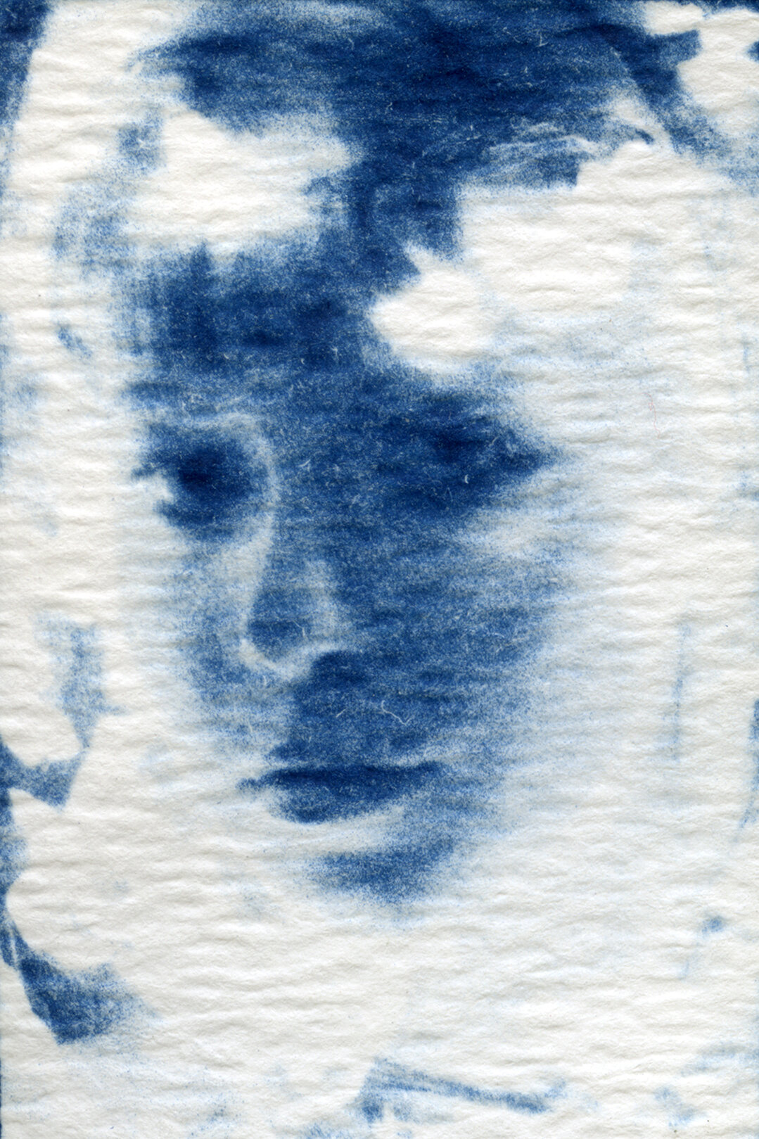 ehollman_Cyanotype-print_firefly-06_07.jpg