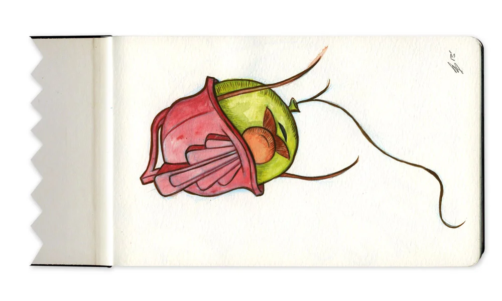 Squarespace-Sketches_V6_0017_16.jpg