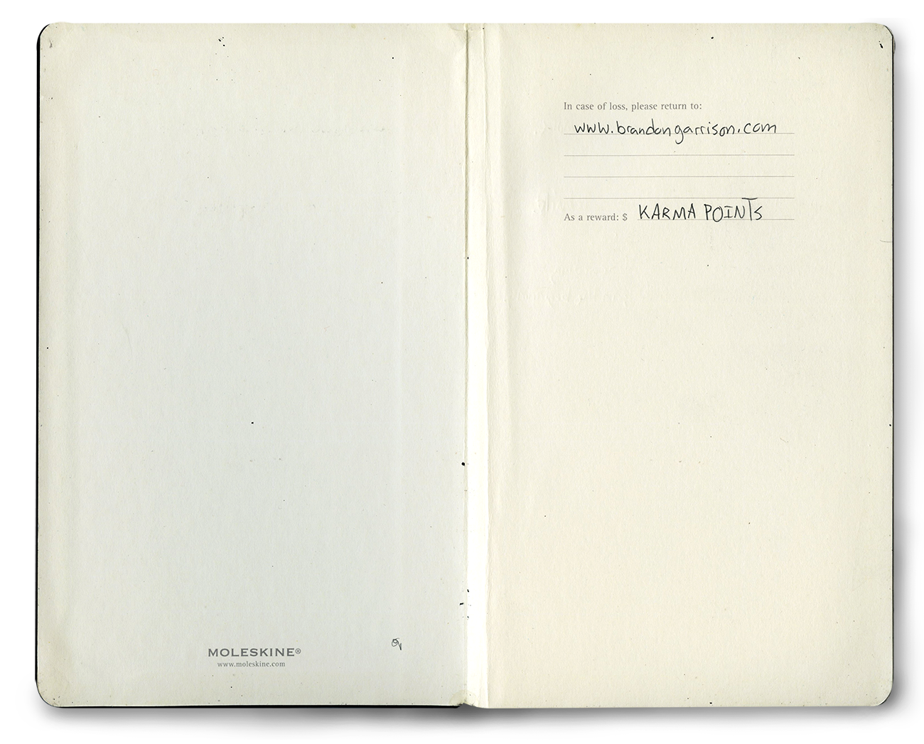 MoleSkinSketchesV9_0001_2.png