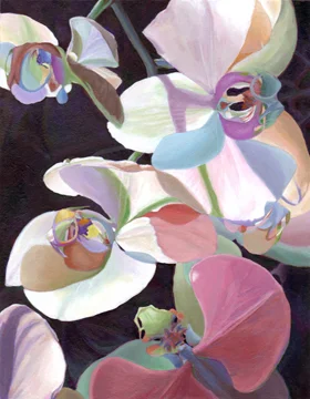 Orchid Fantasia