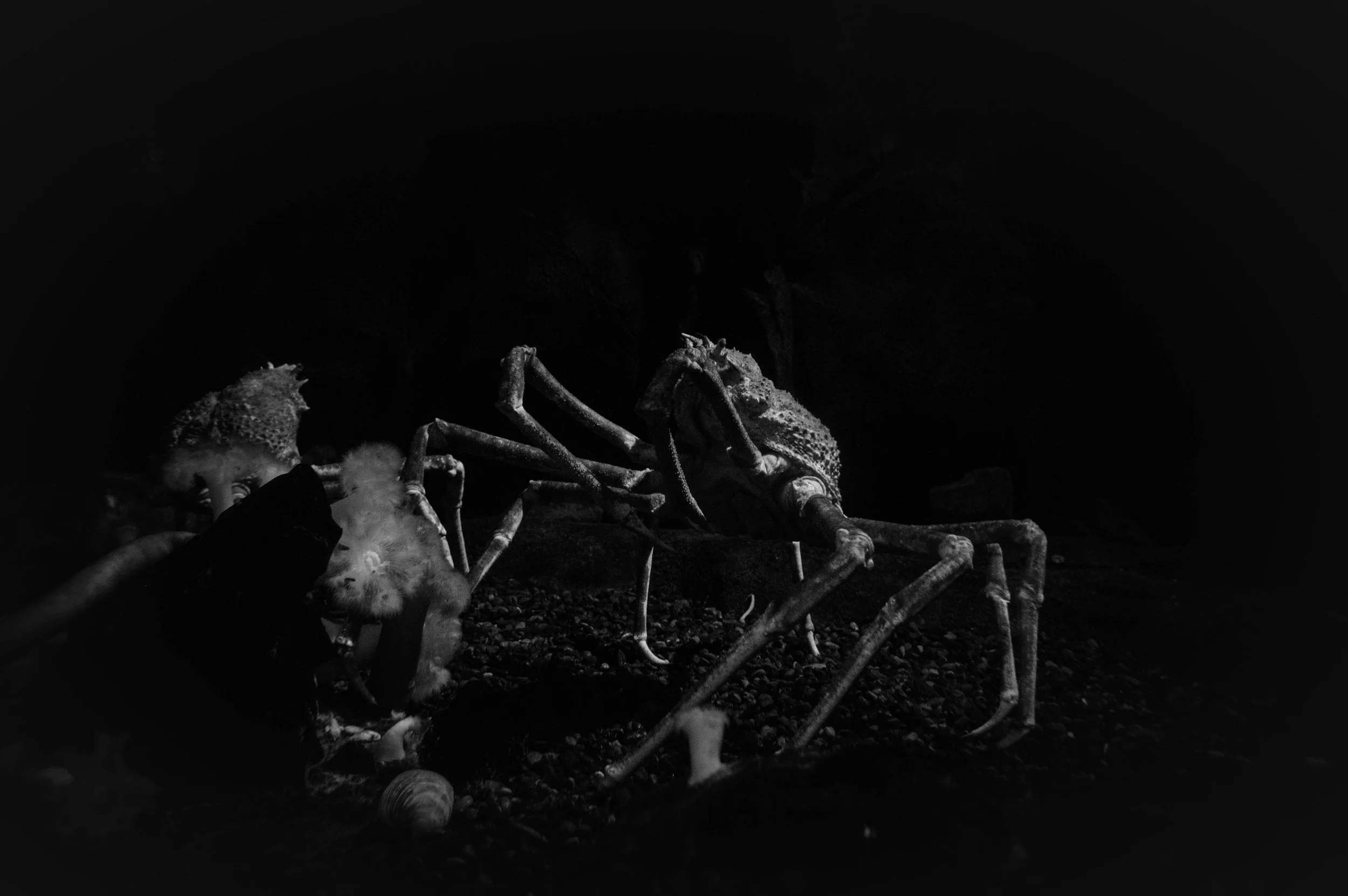 untitled-20.jpg