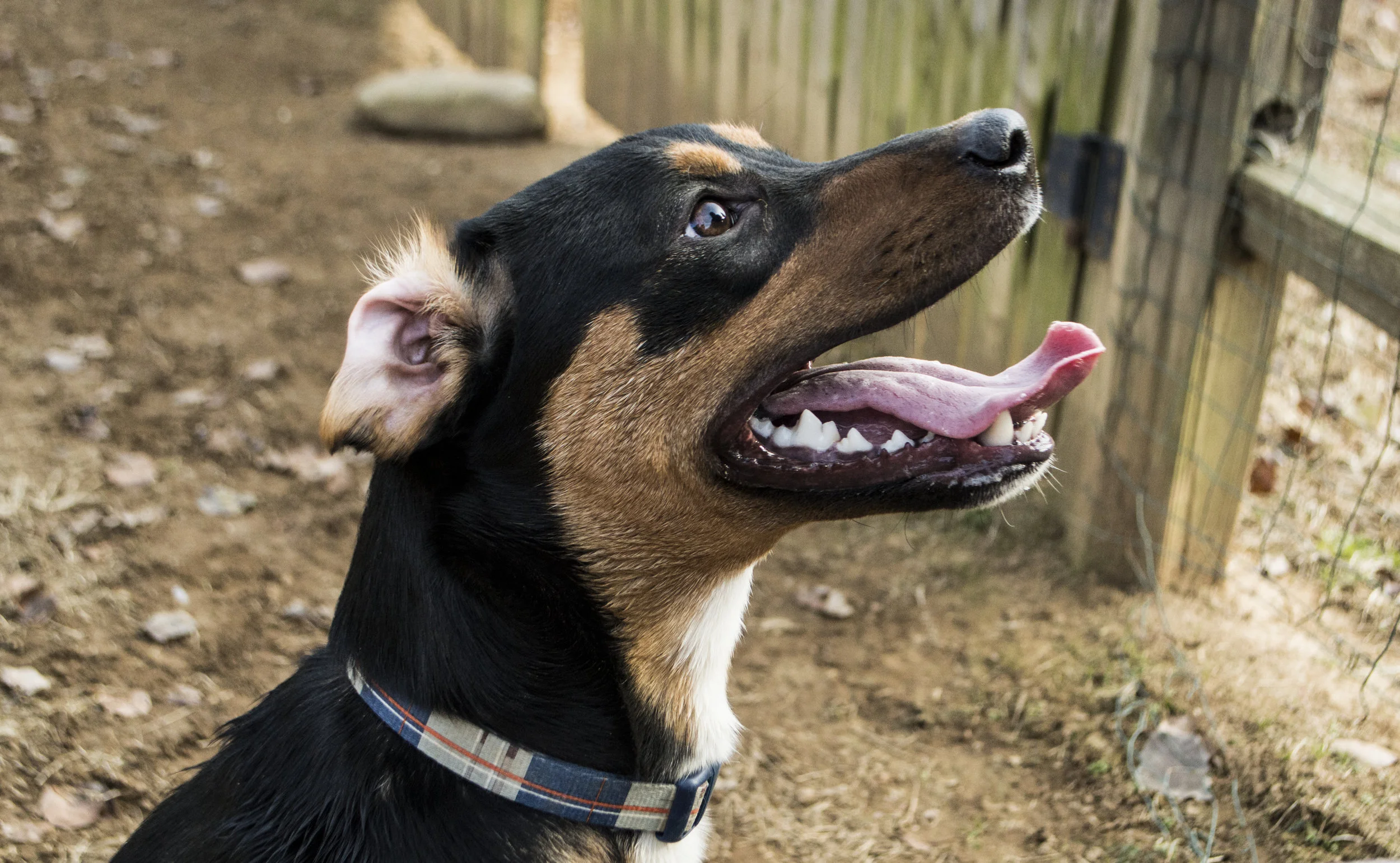 Oakley_11.22.14.jpg