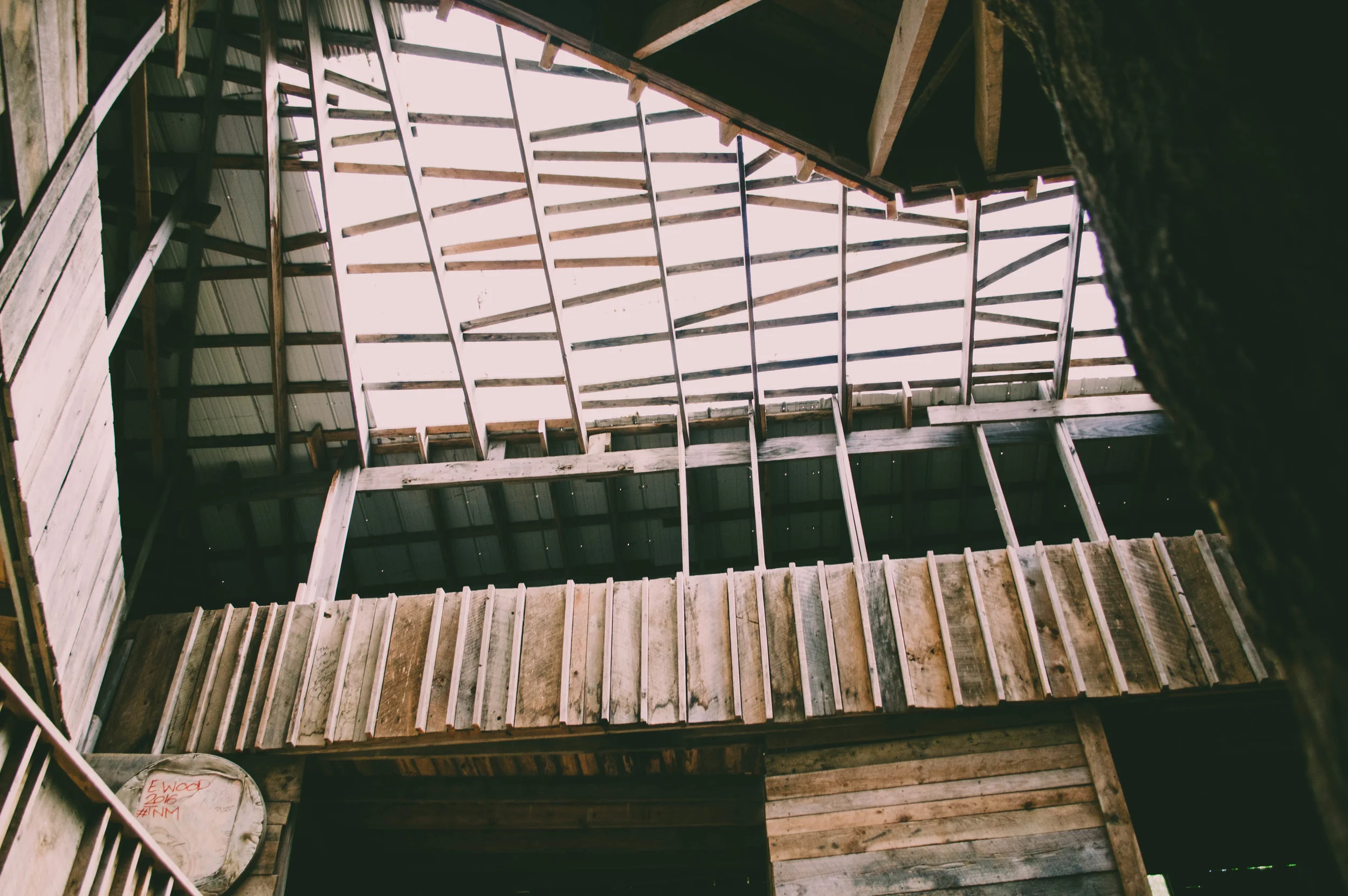 treehouse-9.jpg