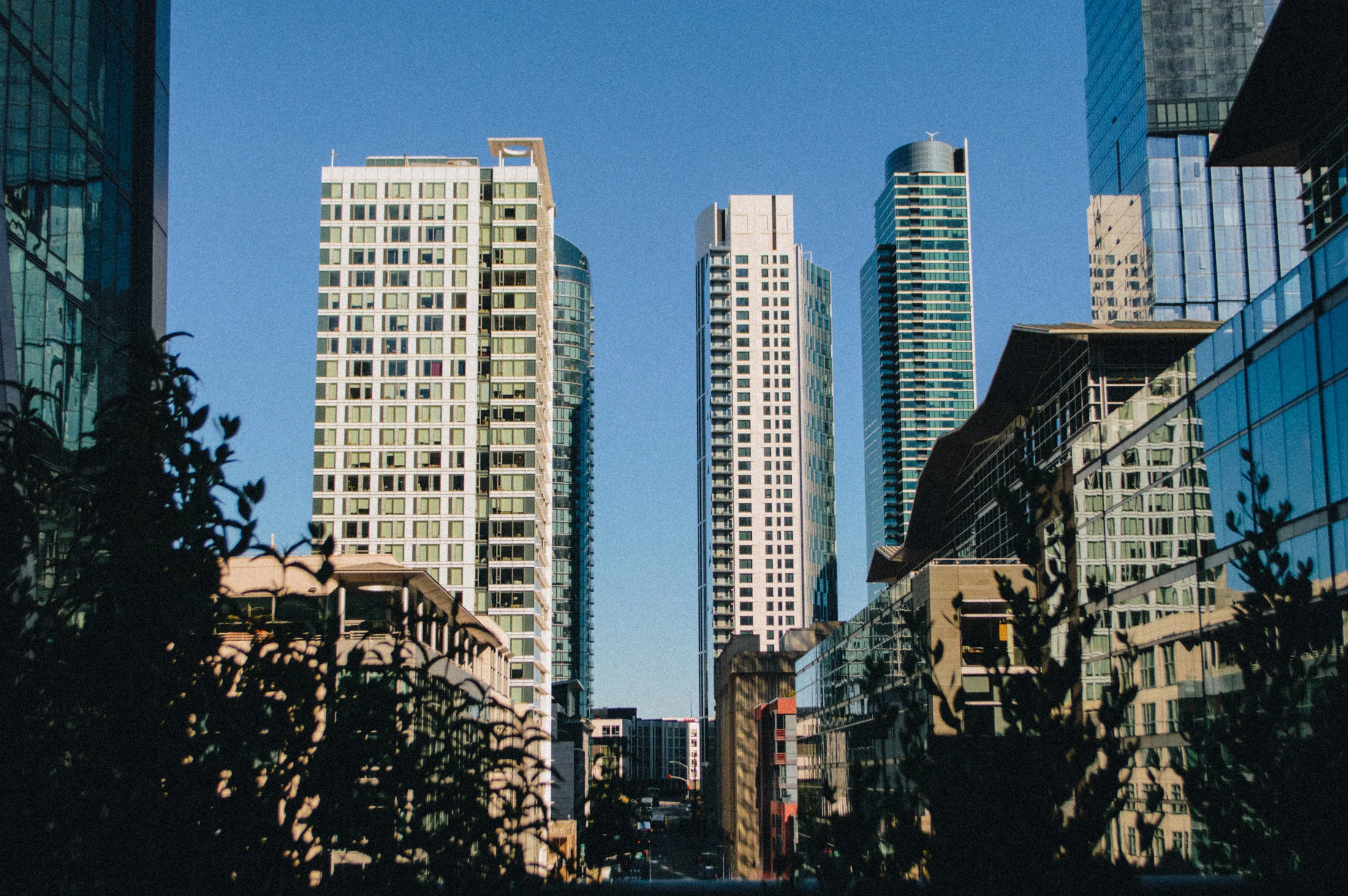 san_fran_51.jpg