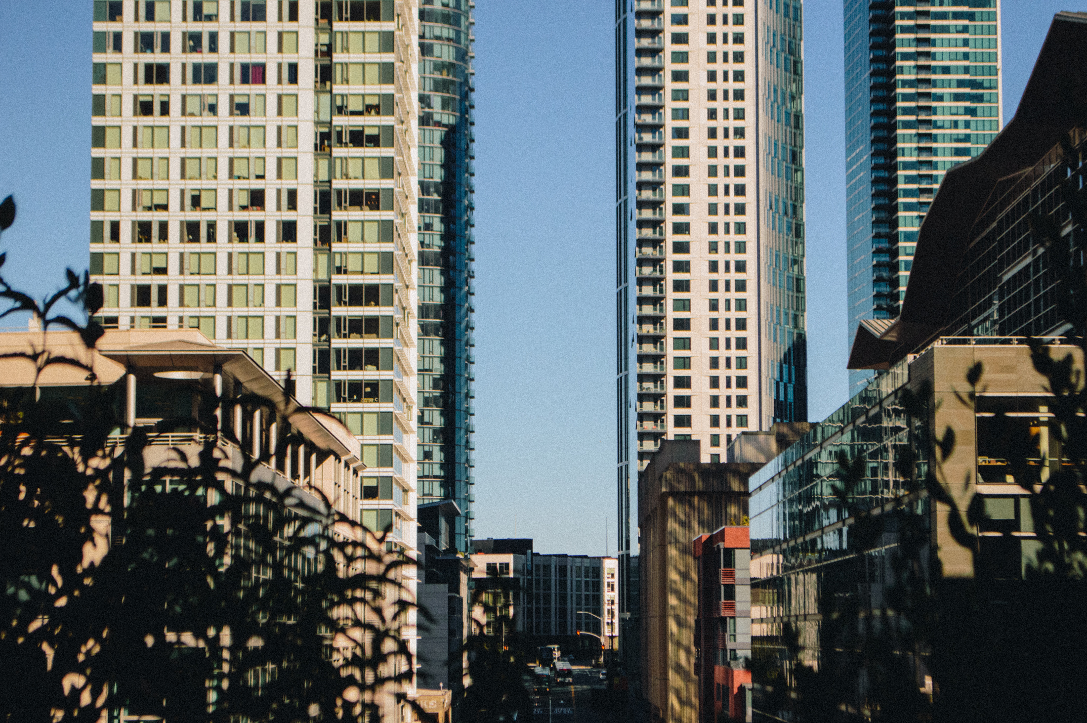 san_fran_50.jpg
