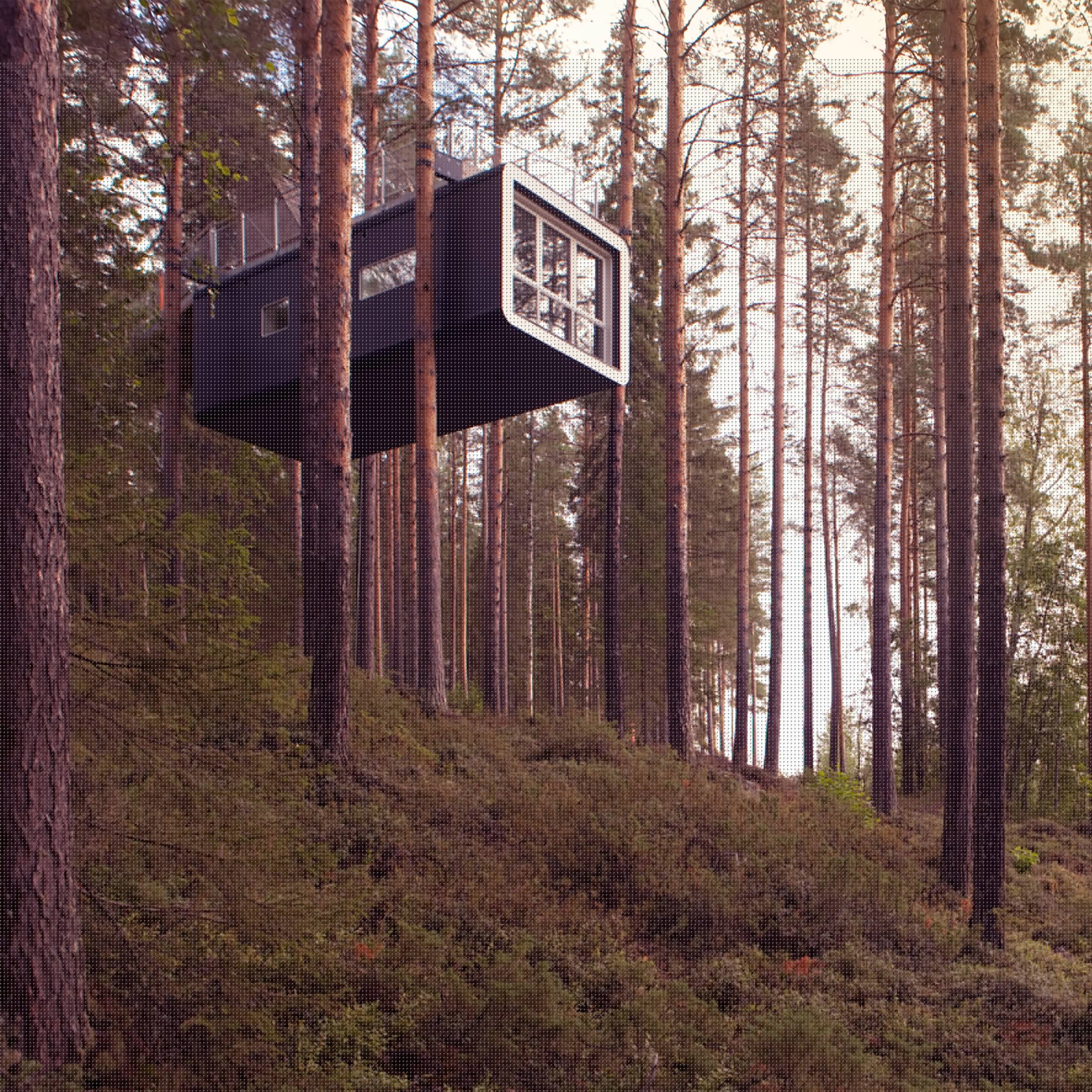The Cabin, Cyren & Cyren