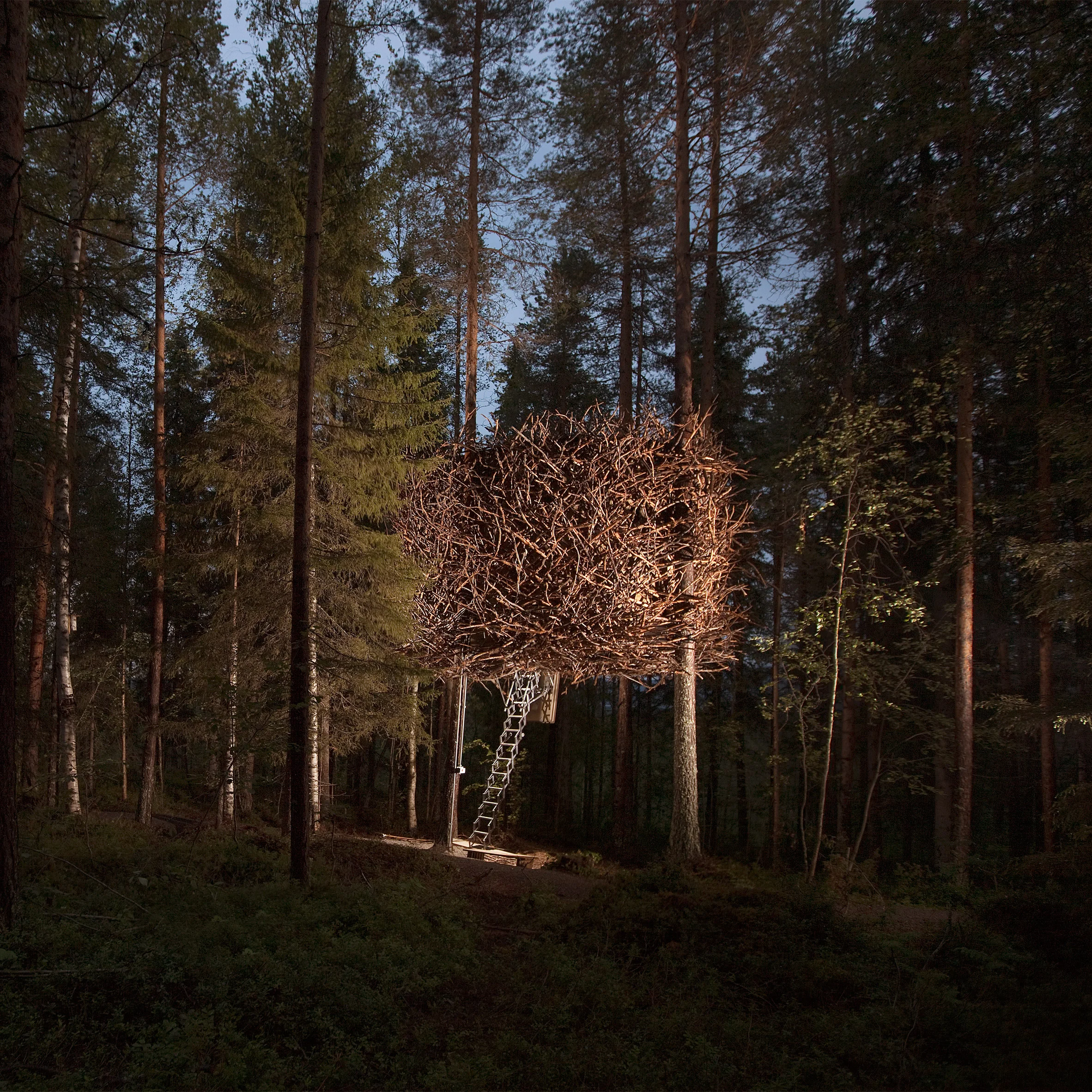 The Bird's Nest, Inrednin Gsgruppen
