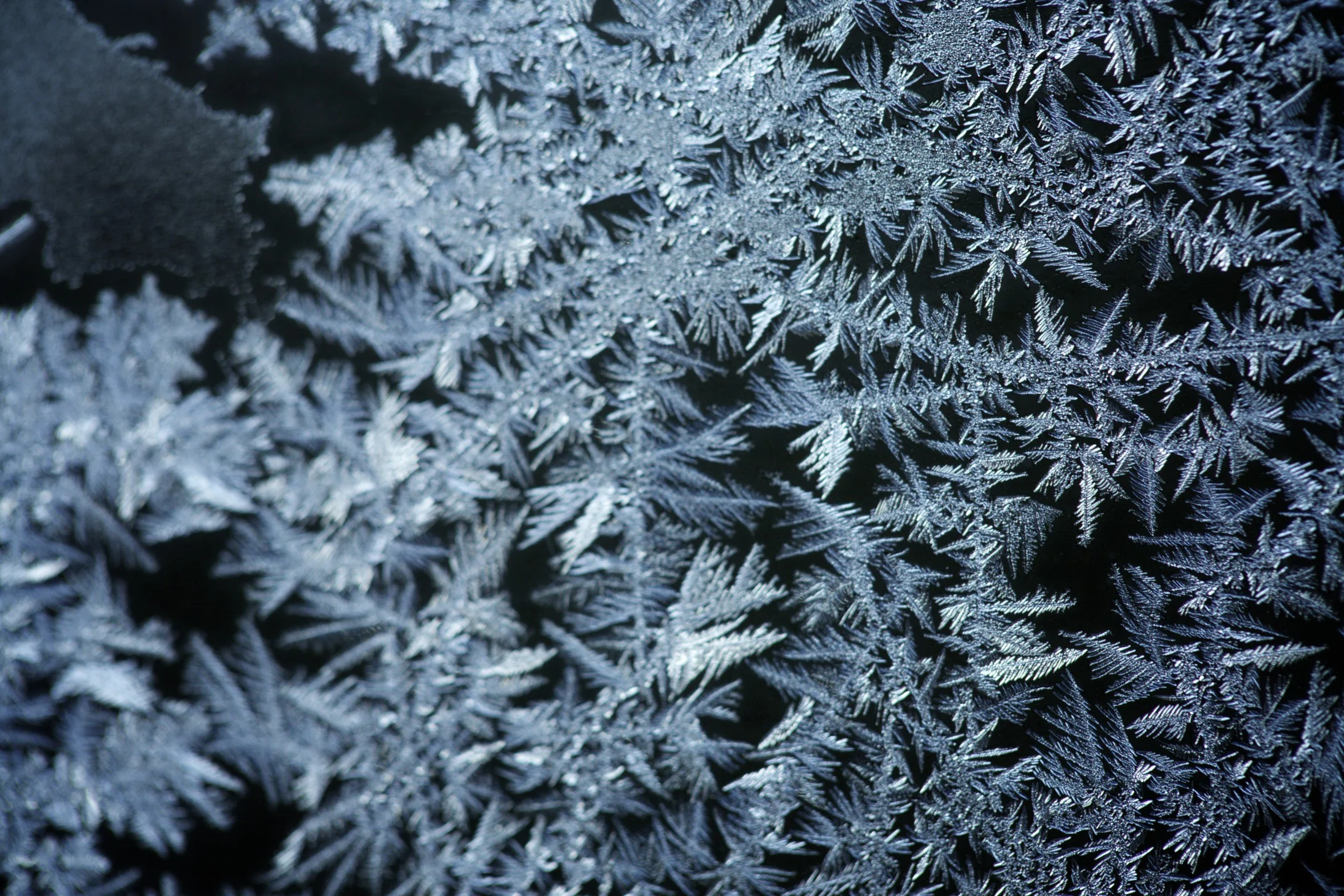 ice crystals / 2014