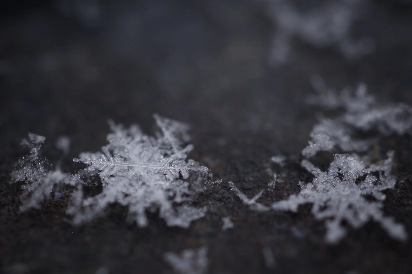 snow crystals / 2014