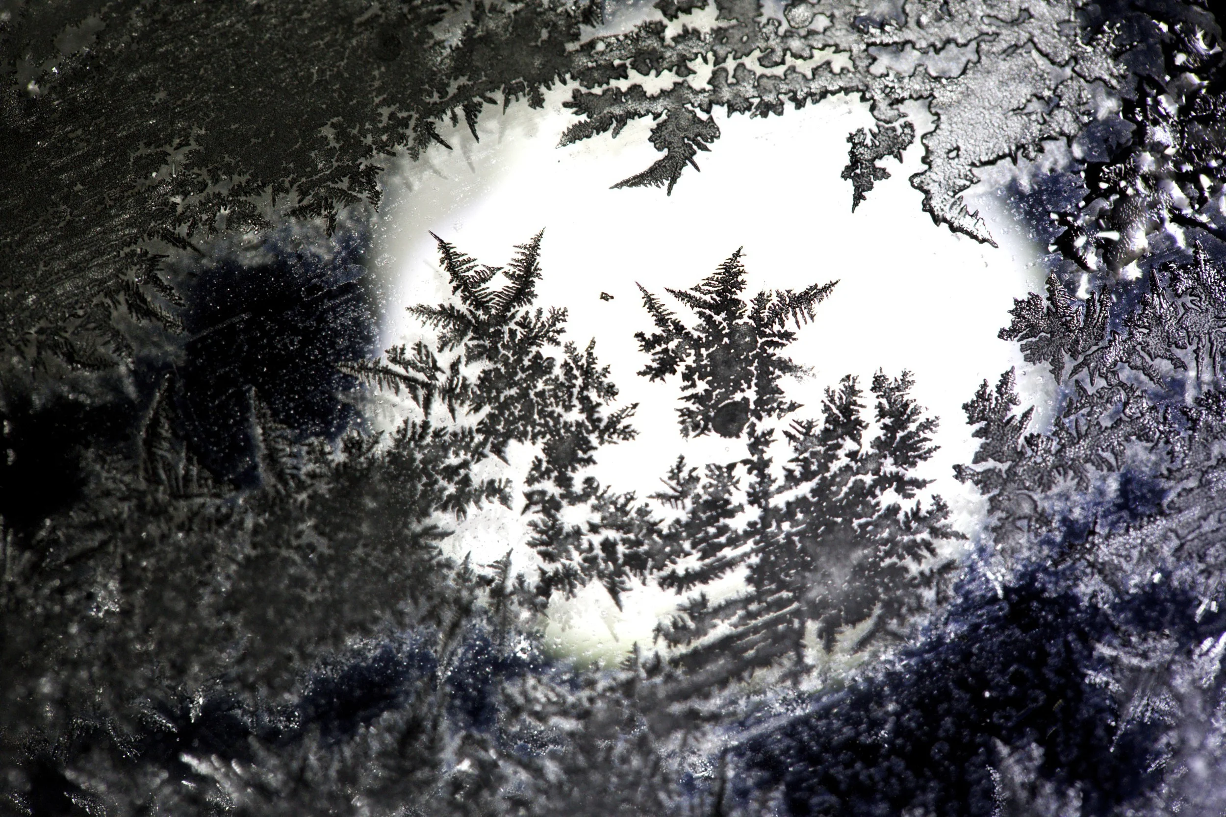 ice crystals / 2014