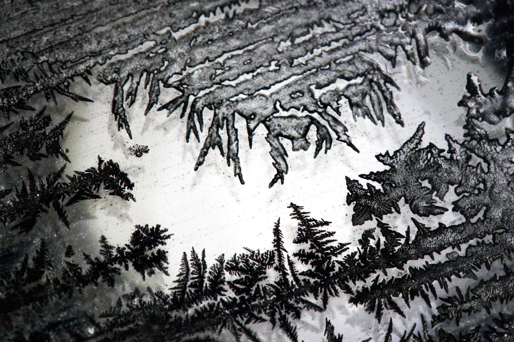 ice crystals / 2014