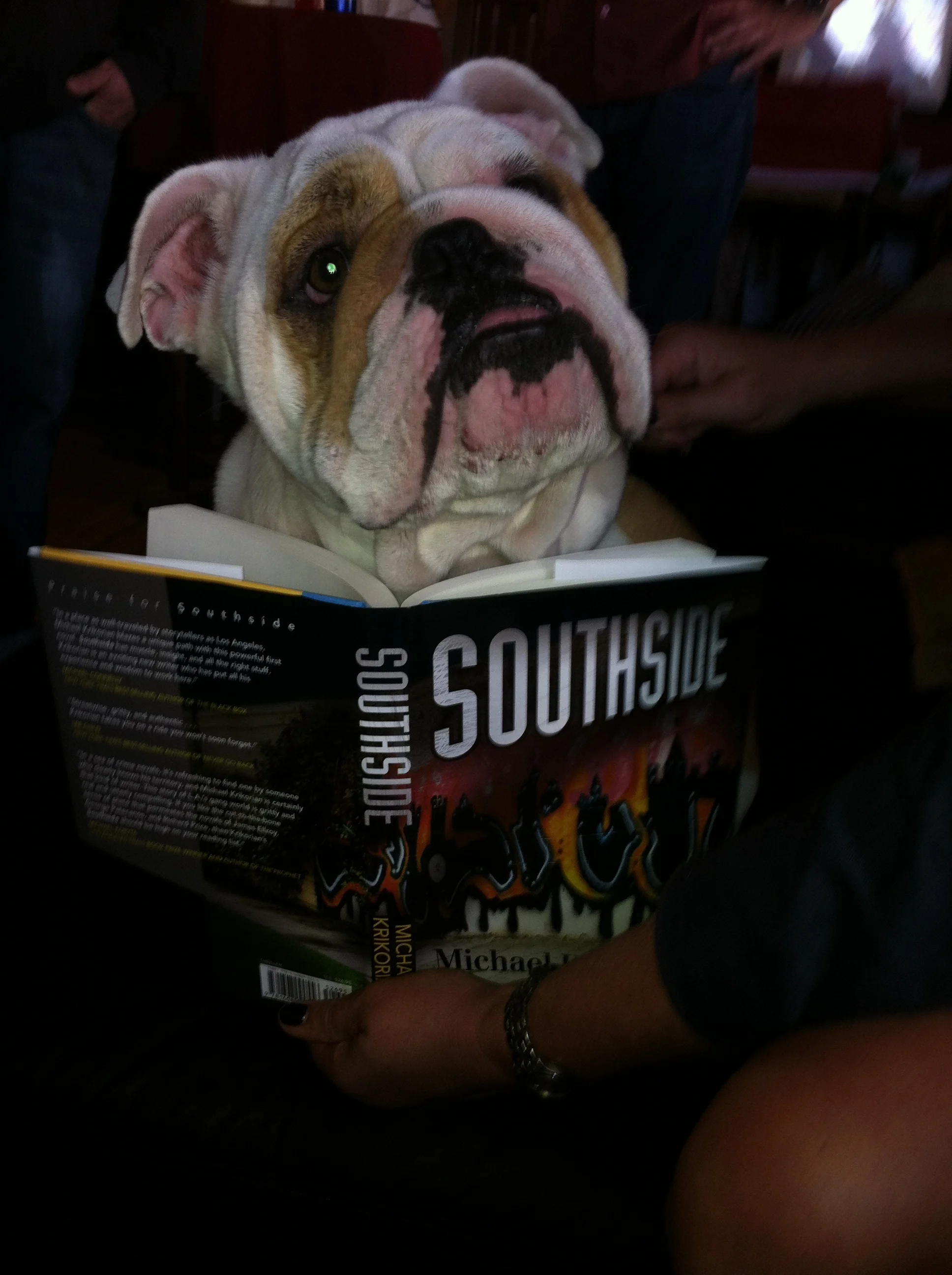 Winston does NOT like to be interrupted when reading "Southside"