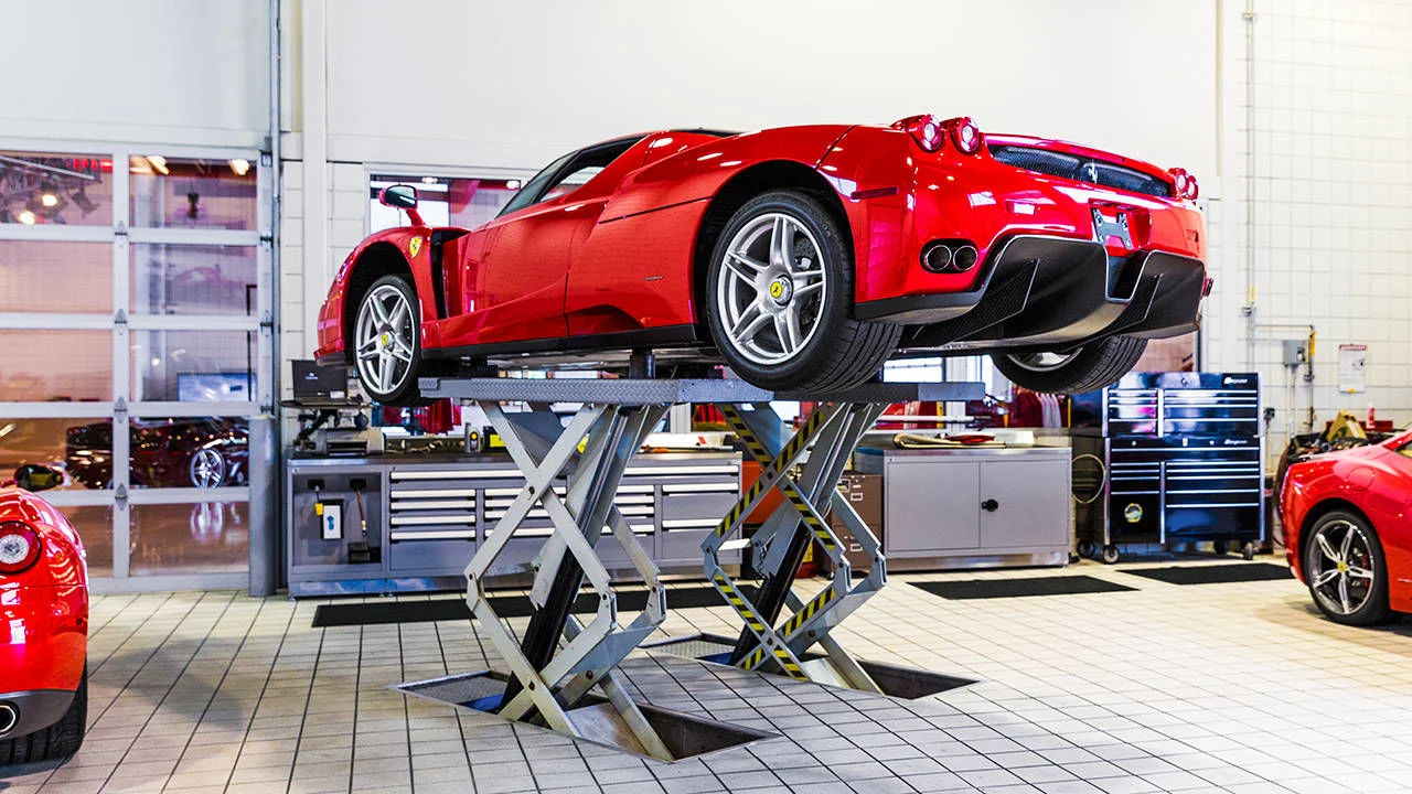 Enzo on repair.jpg