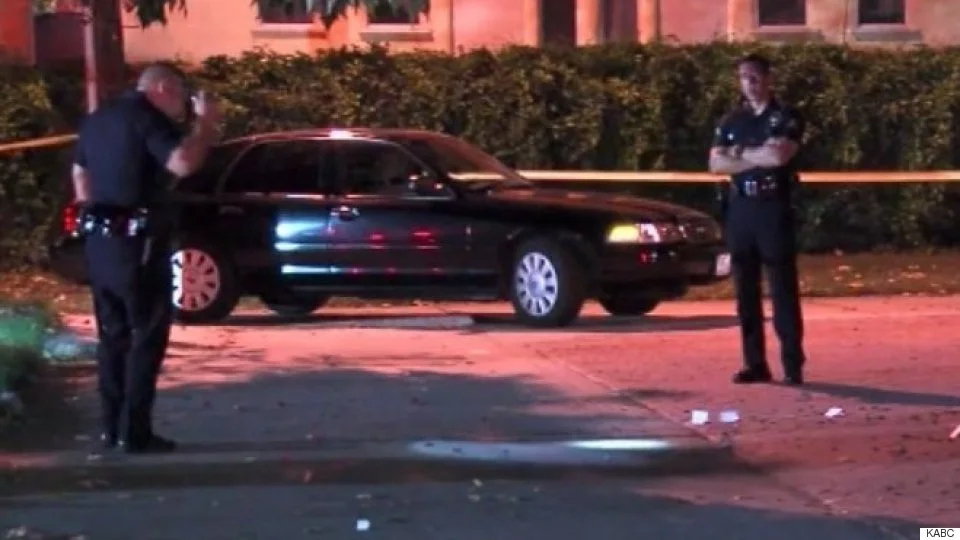 cops flashling.jpg