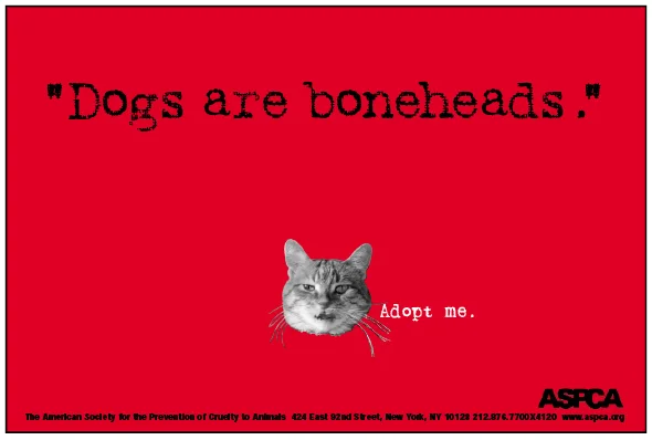 PORTFOLIO_WEBSITE copy.jpg