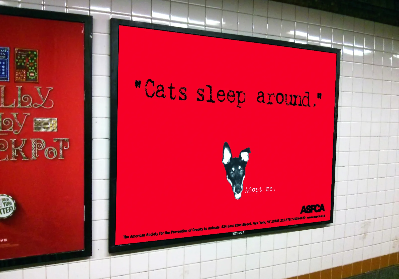 aspcaplacement.jpg