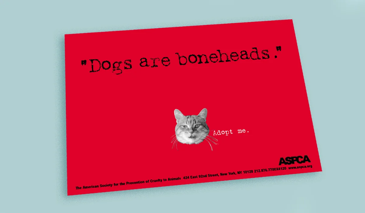 ASPCA-POSTCARD-MOCK-UP.jpg