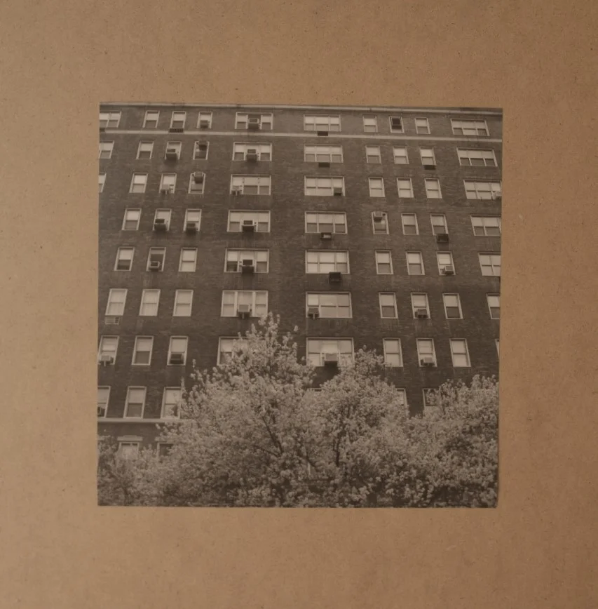 10" x 10" | 25.4cm x 25.4cm