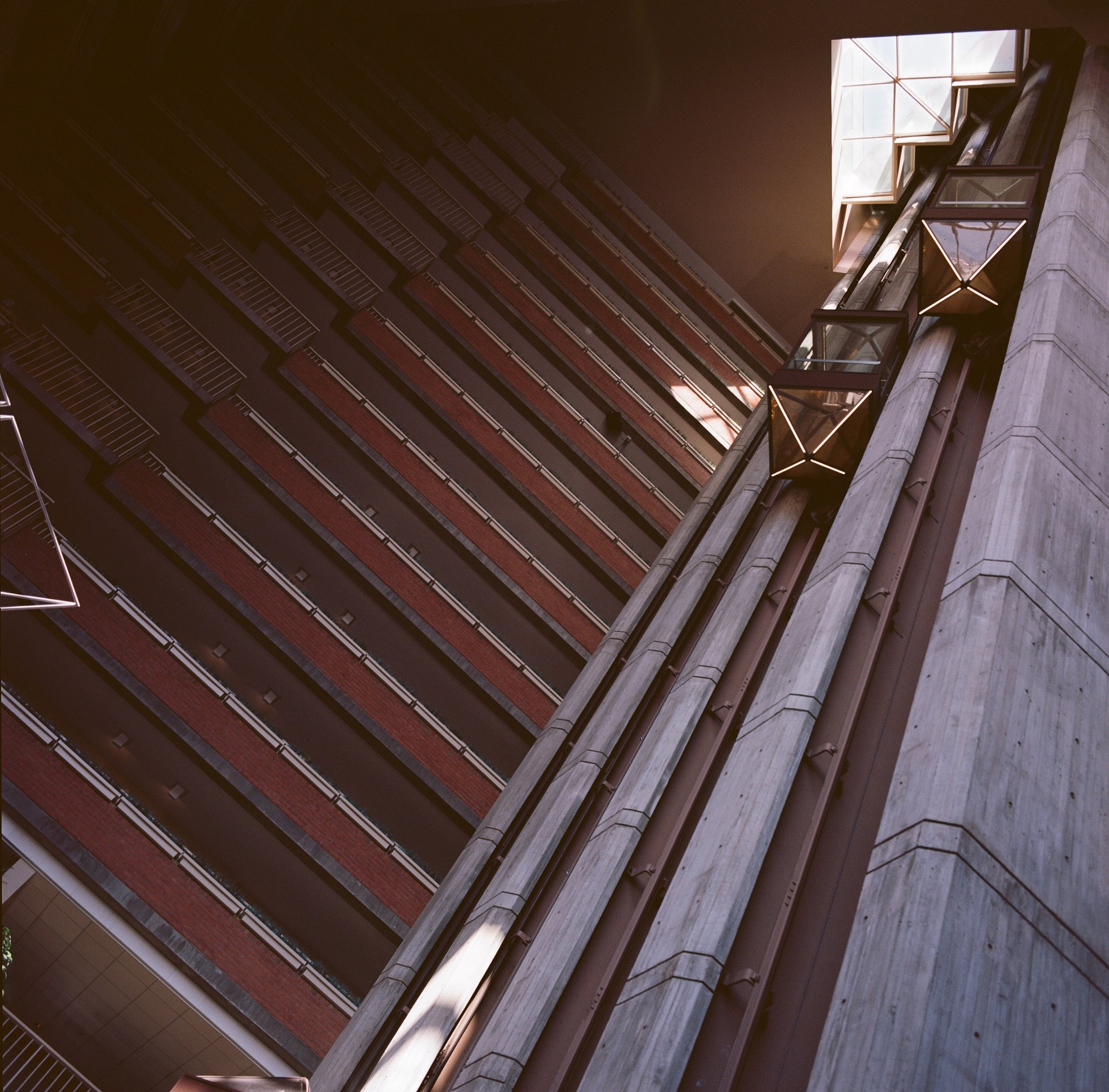 IMG_20161114_192547 (2).jpg