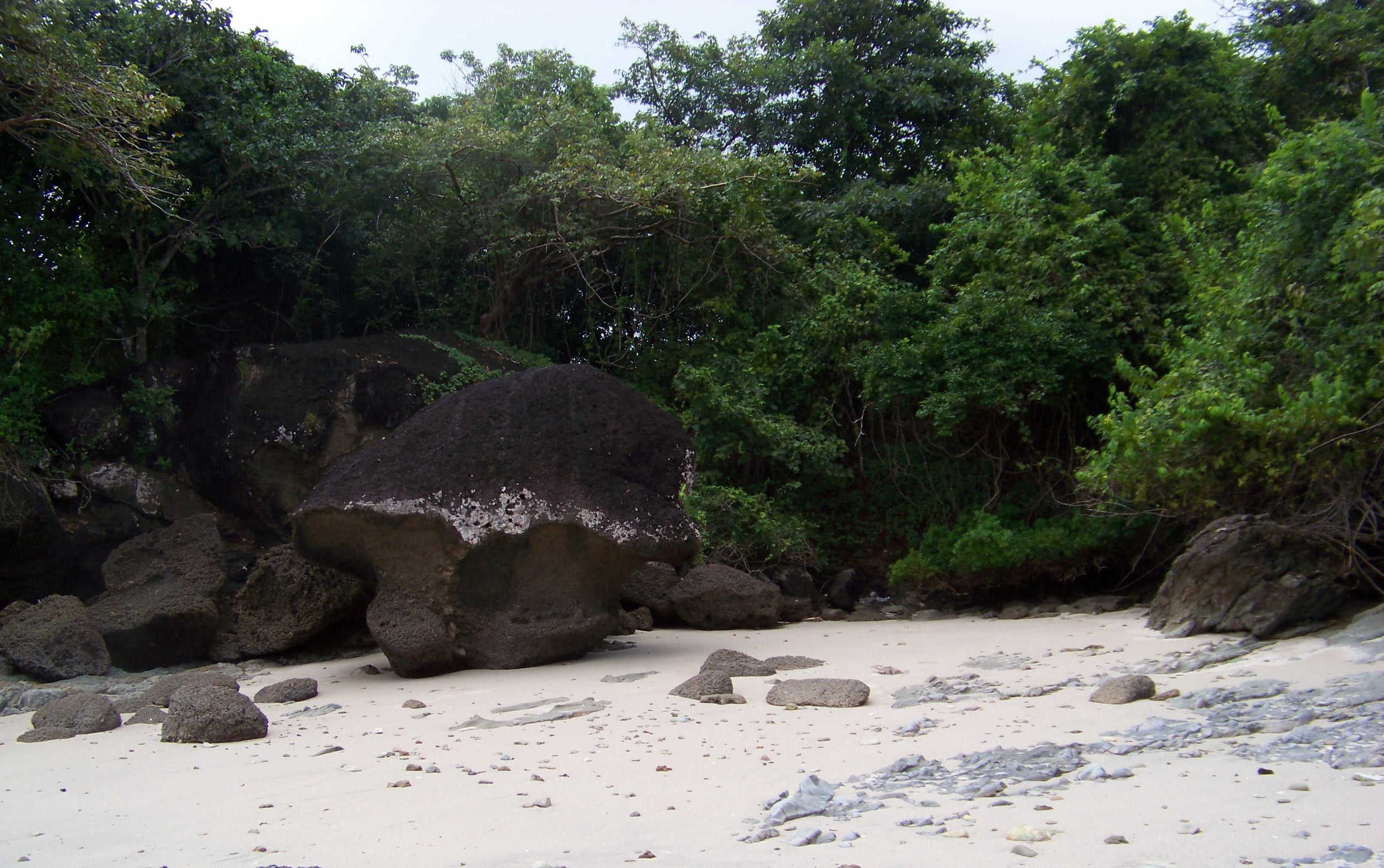 100_4037.jpg