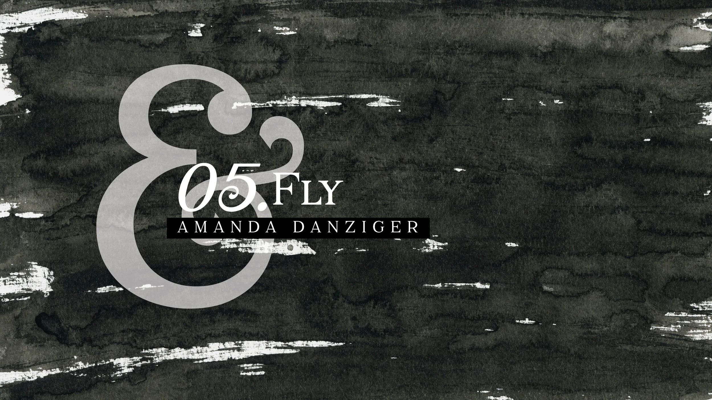 Fly - Amanda Danziger - Lyric Video (Copy)