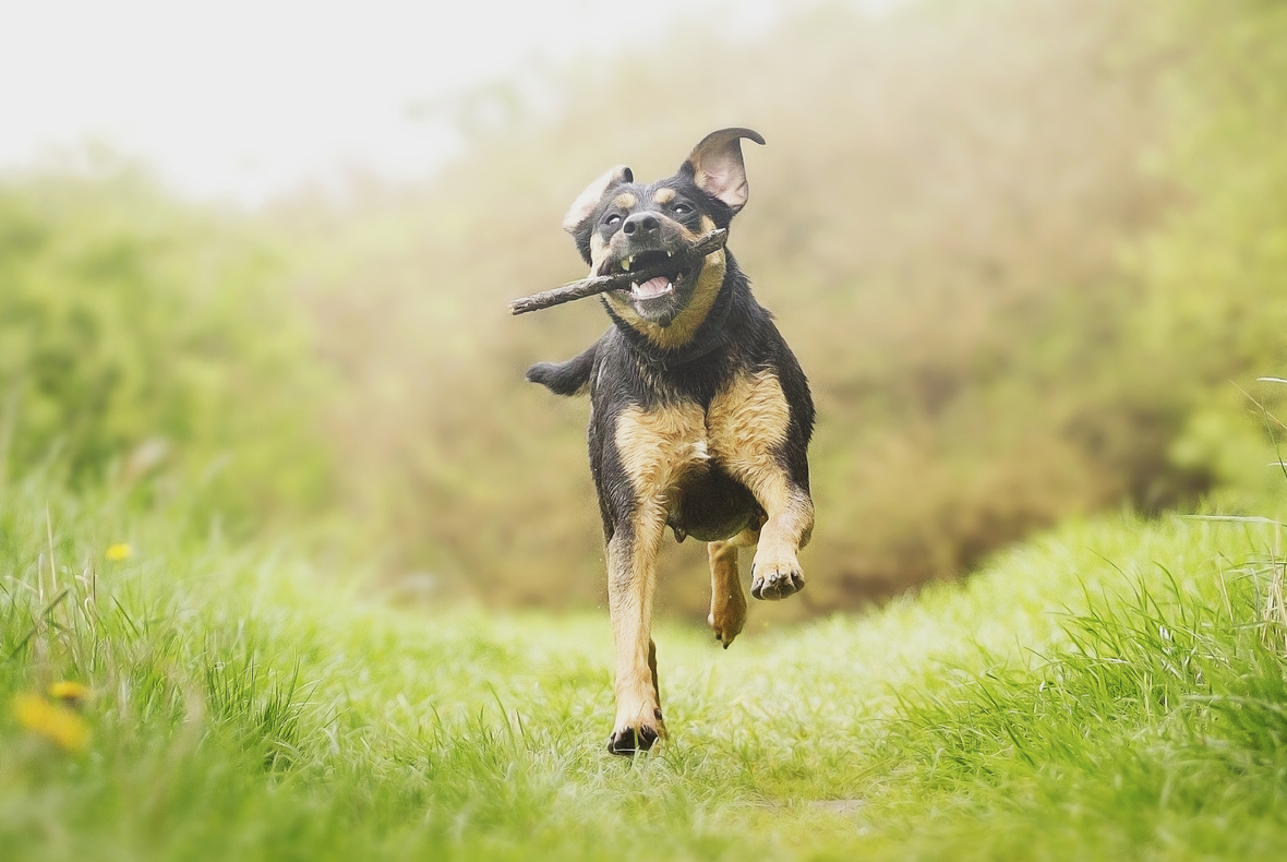 Photo Credit/ Carmeika/ I stock photo 