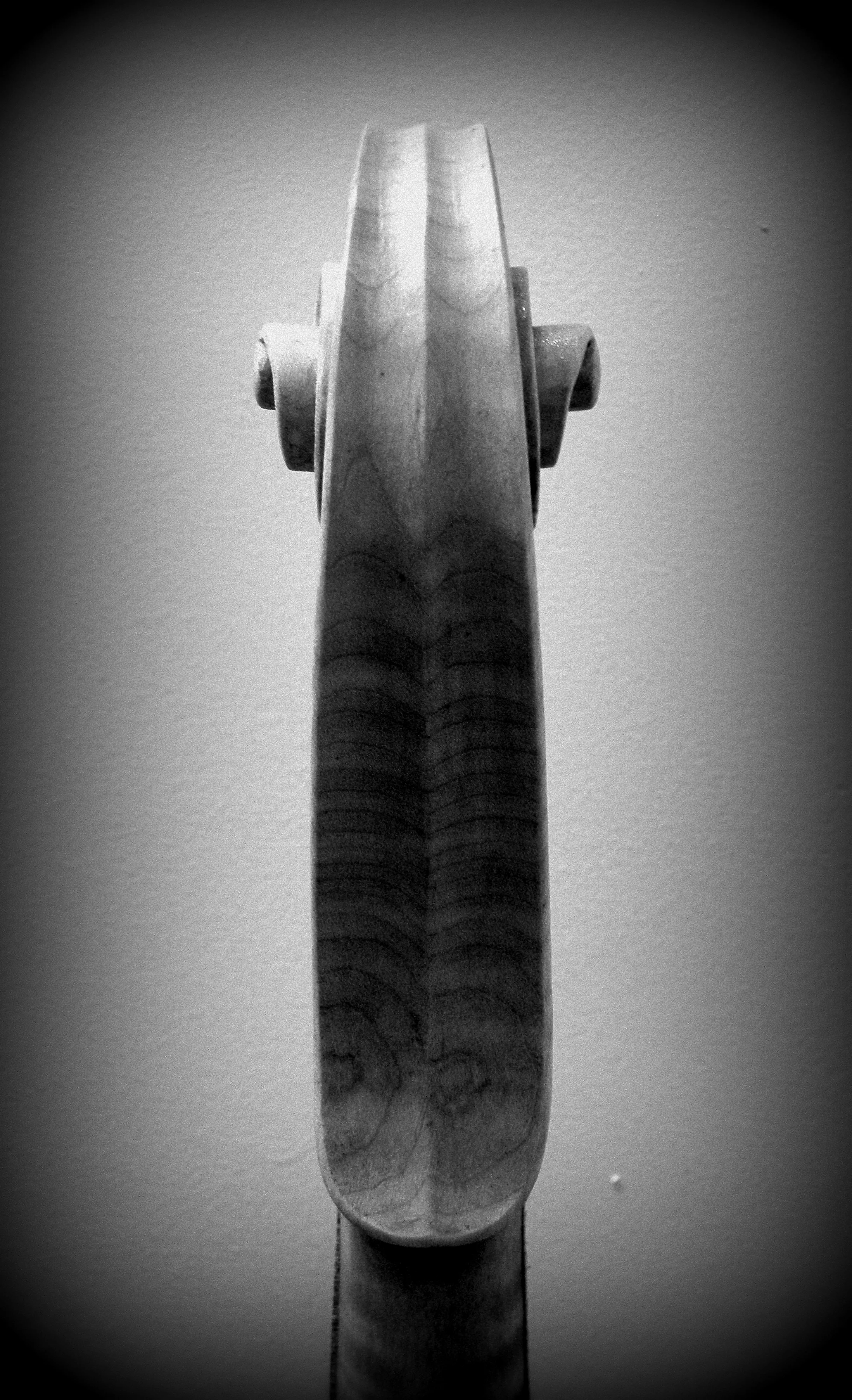 BW vla back of scroll.JPG