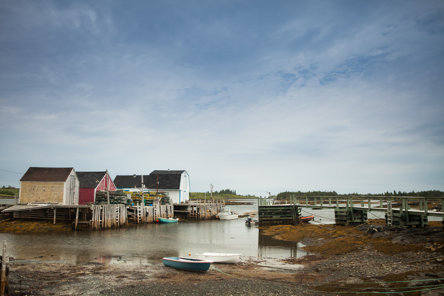 Blue Rocks, Nova Scotia Copyright Vanessa Rogers Photography 2014