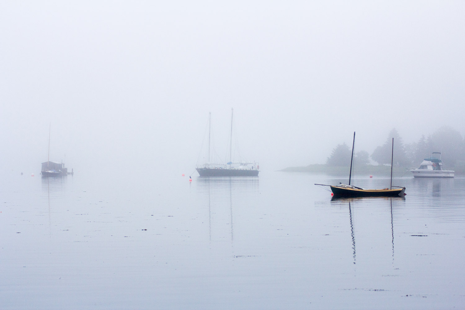 Lunenburg Harbour, Nova Scotia Copyright Vanessa Rogers Photography 2014