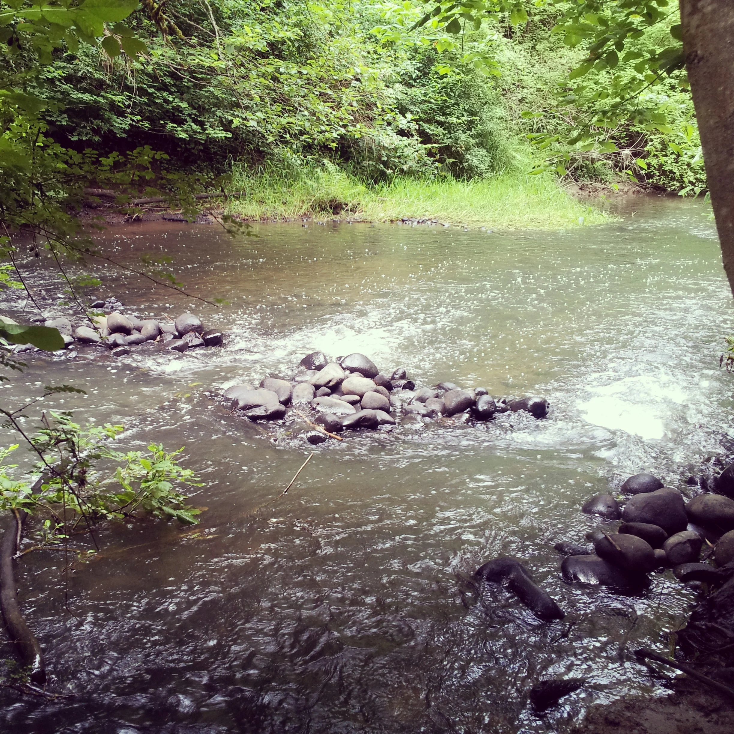 IMG_20130701_170708.jpg
