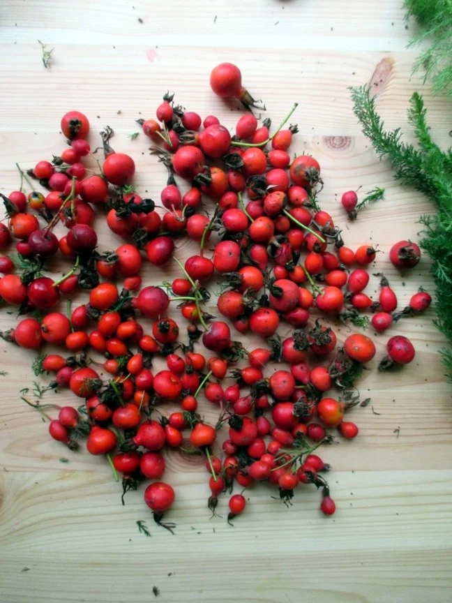 Rosehips.