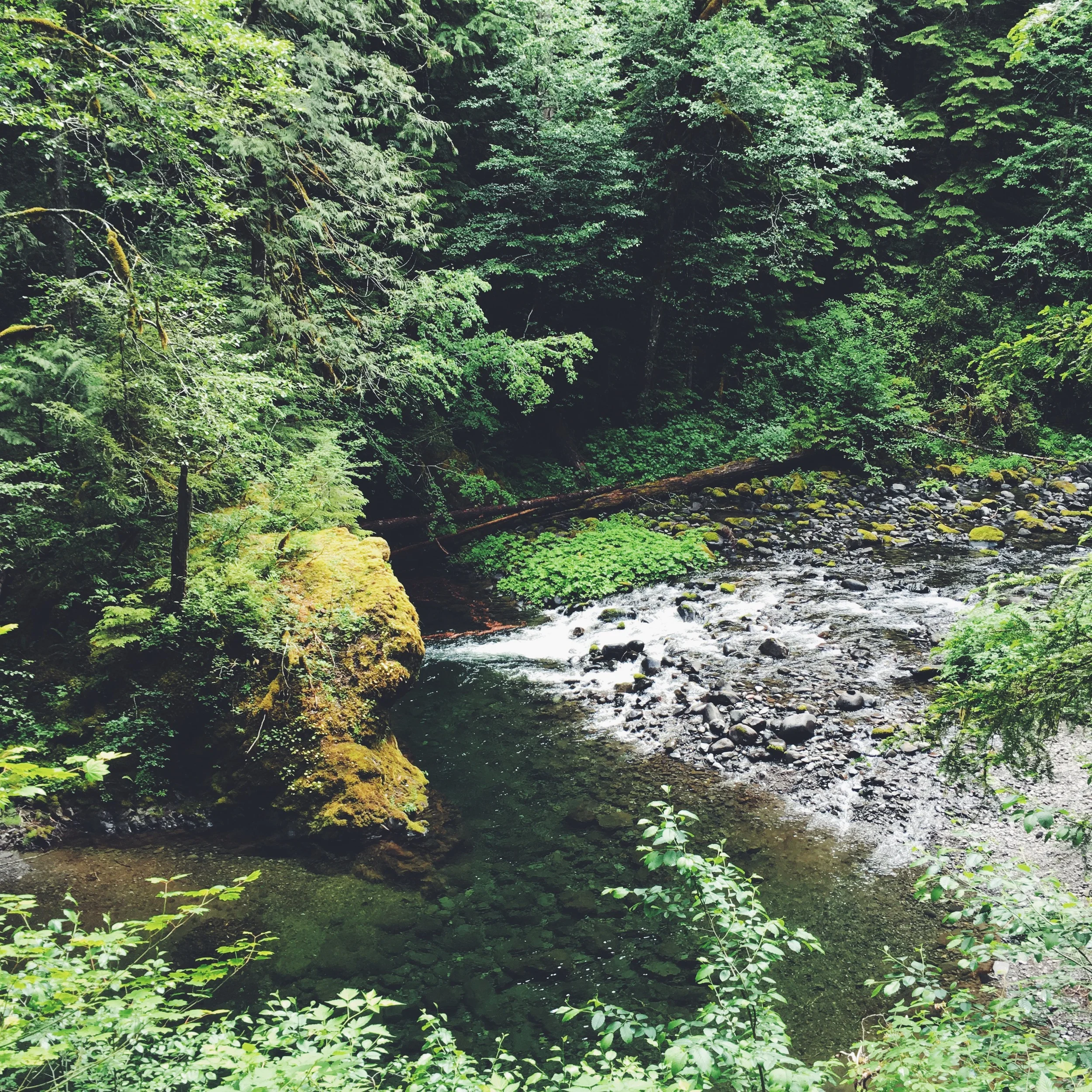 bagby hot springs area
