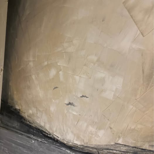 598643982_784048294095201_5688570548787697137_n.jpg