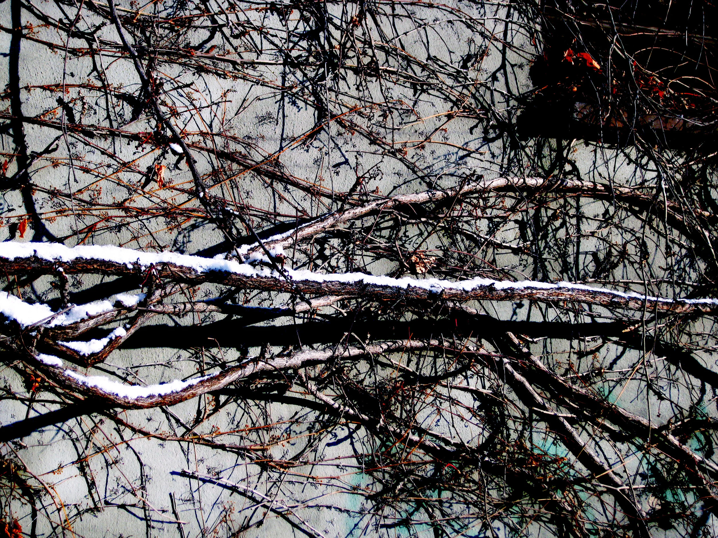 Berlin Snow_IMG_2524.jpg