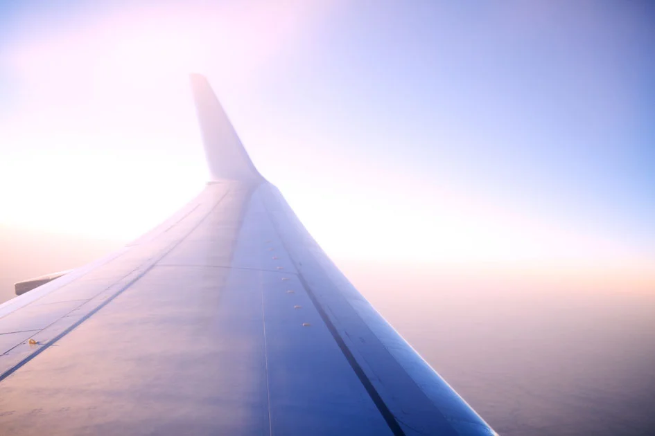 Flying on a wing_0101.jpg