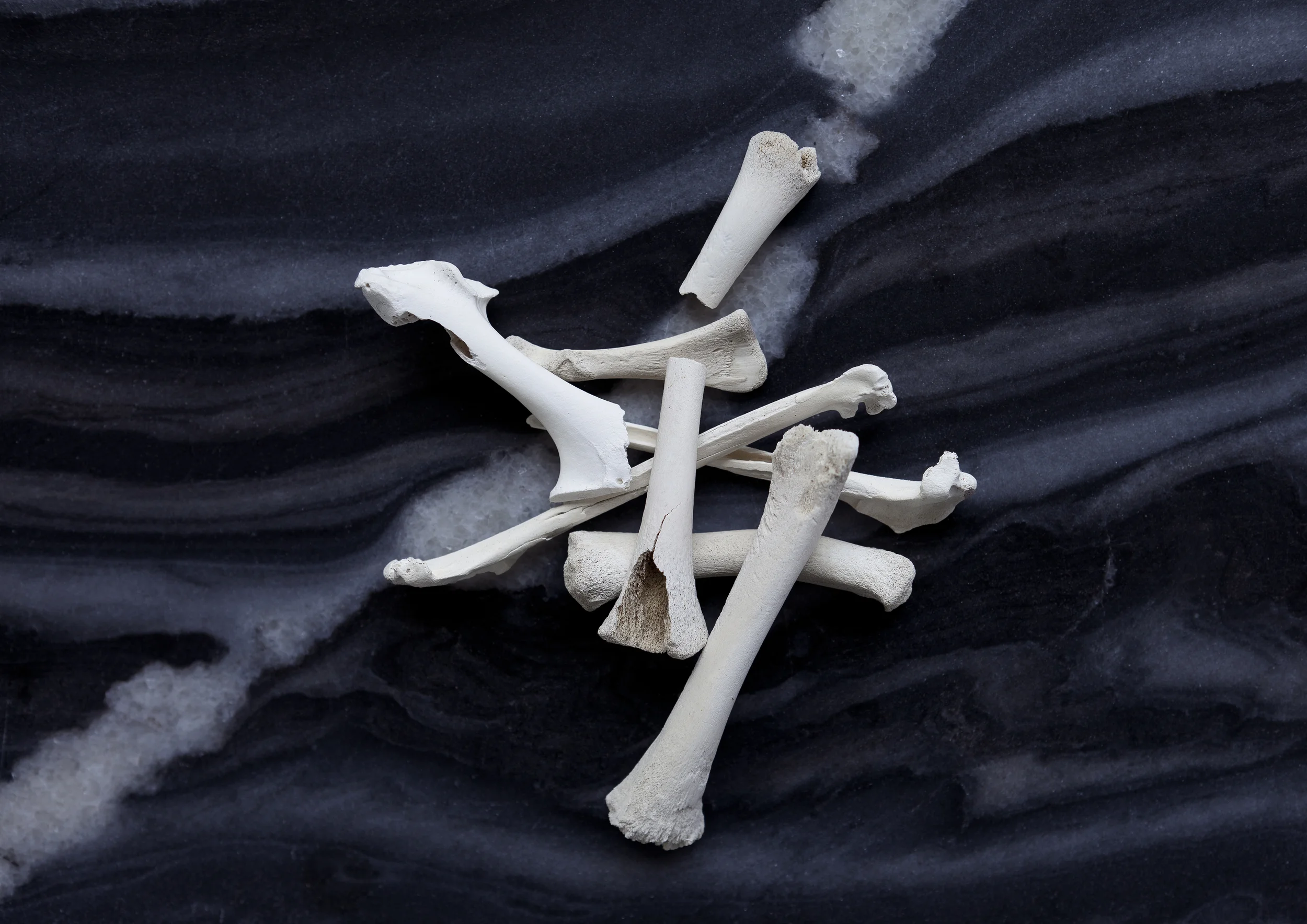 DUNE_Collected_Bones.jpg