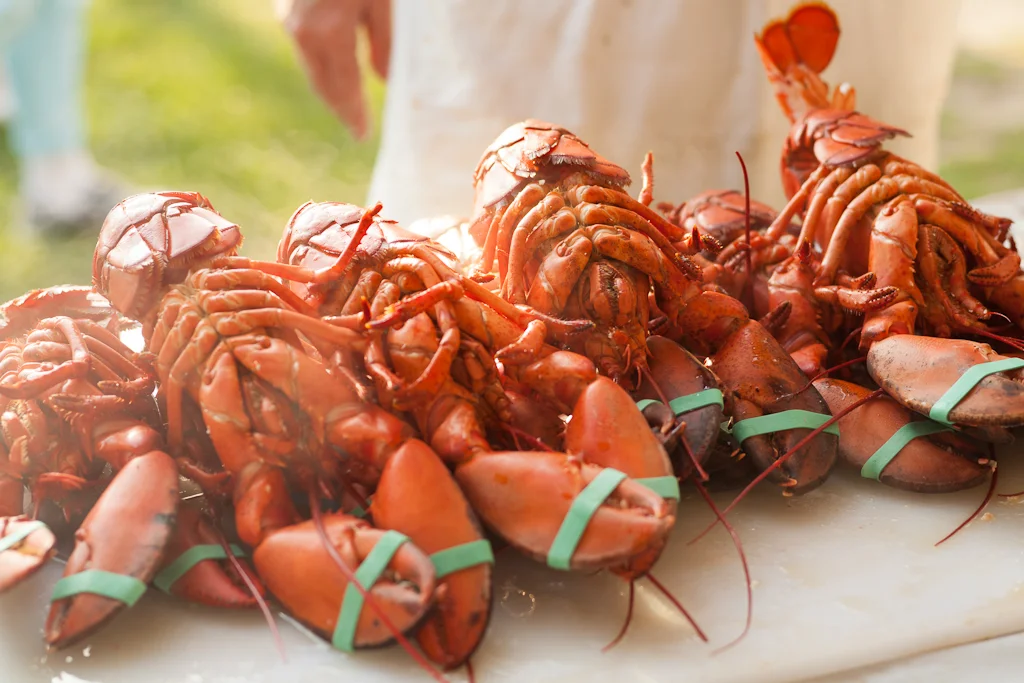 03_ROTARY-LOBSTER_EM.jpg