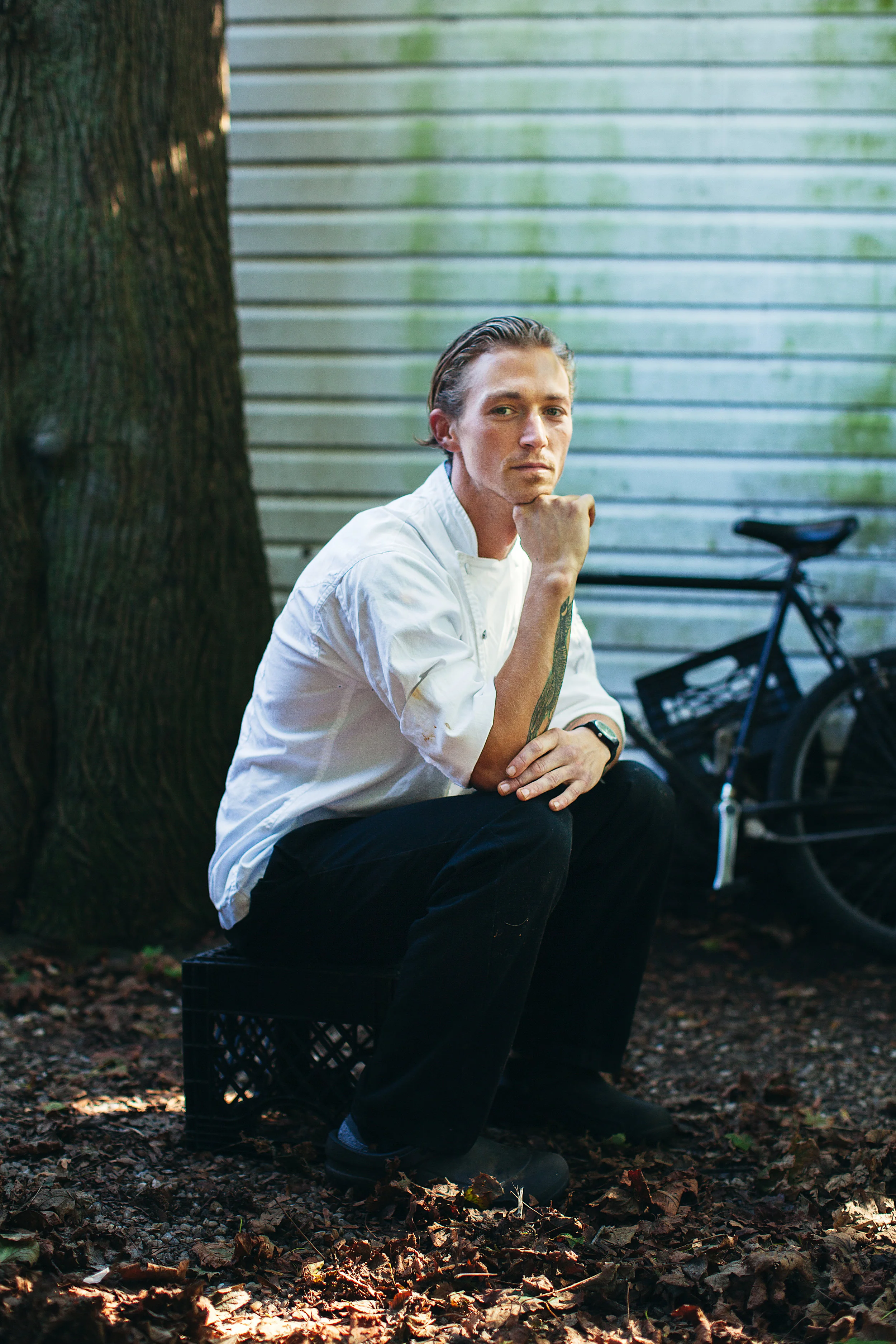 Stephan Bogardus