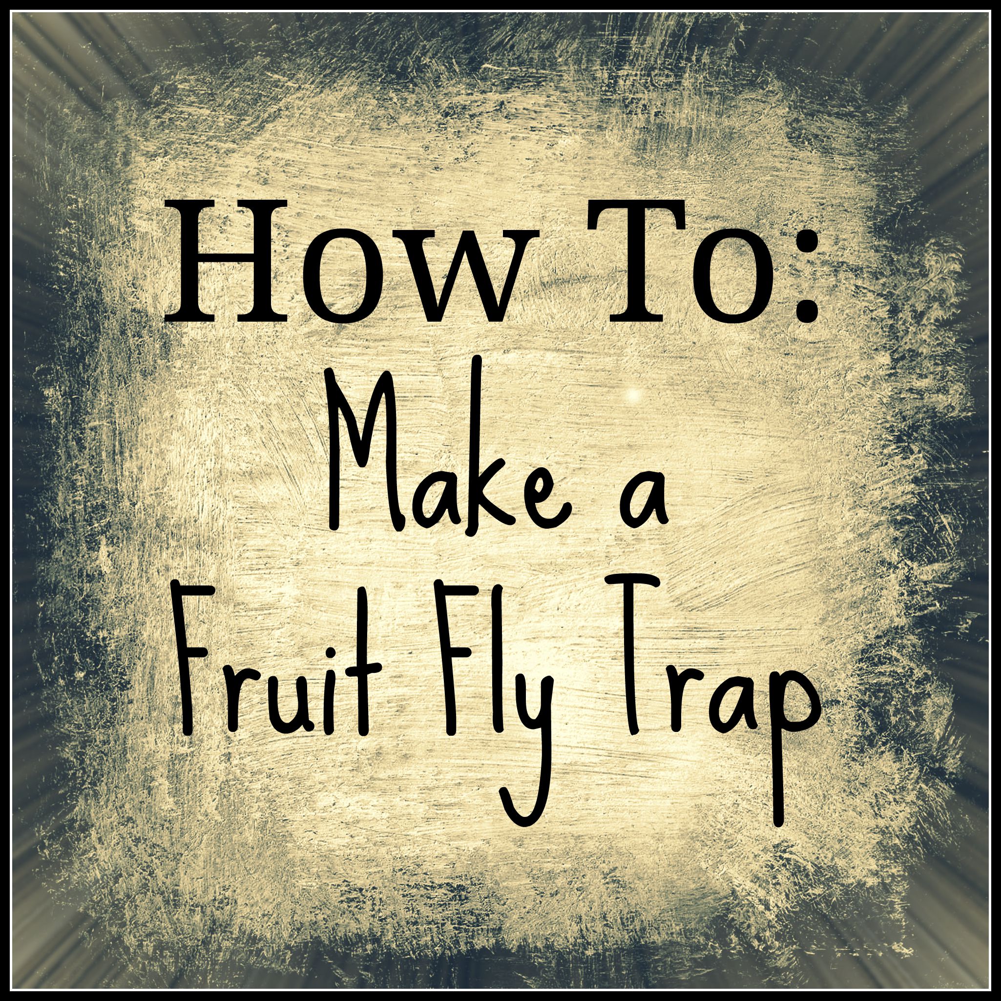 The Best Homemade Fruit Fly Trap - Crafty Morning
